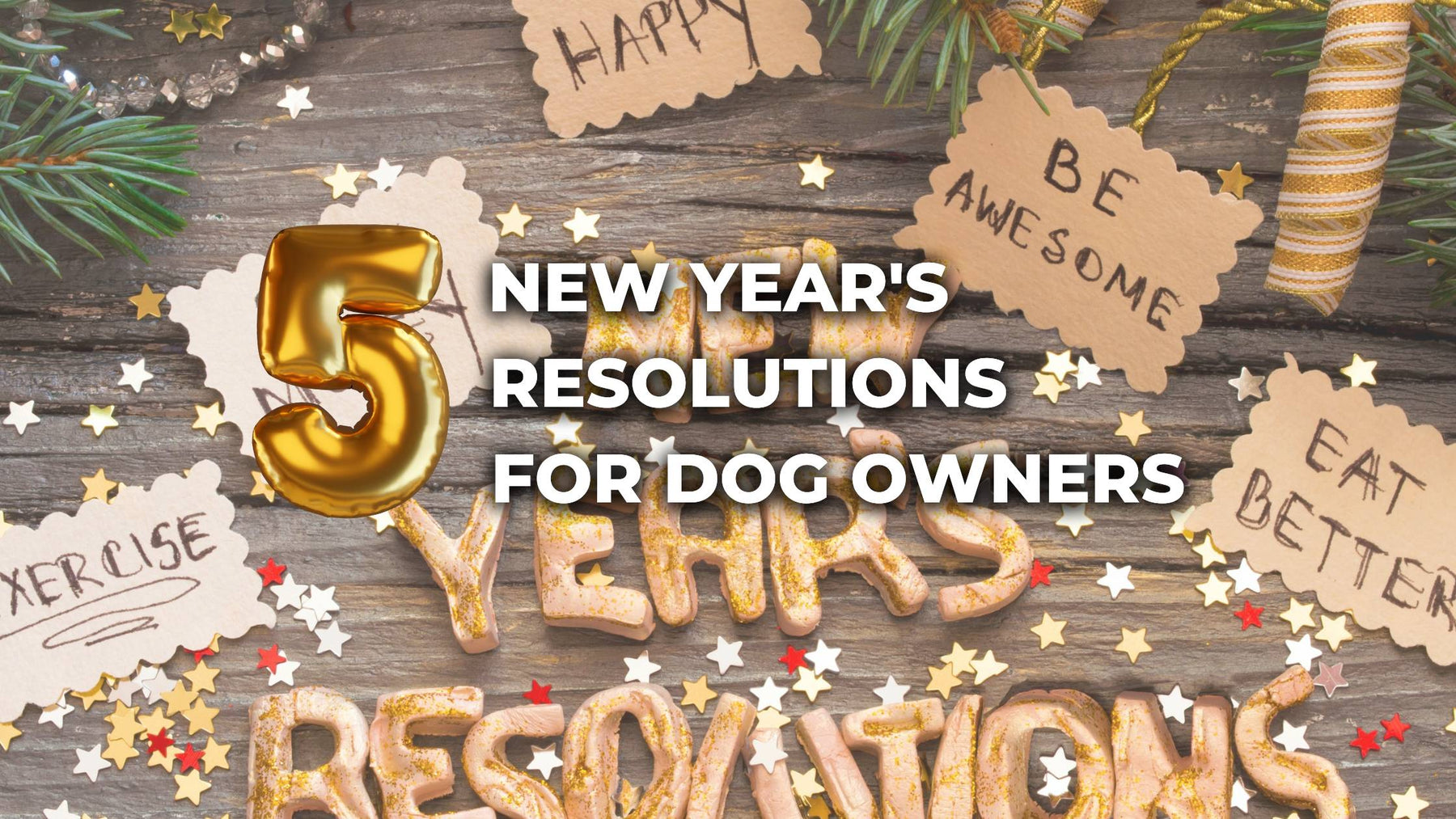 5-new-years-resolutions-for-dog-owners