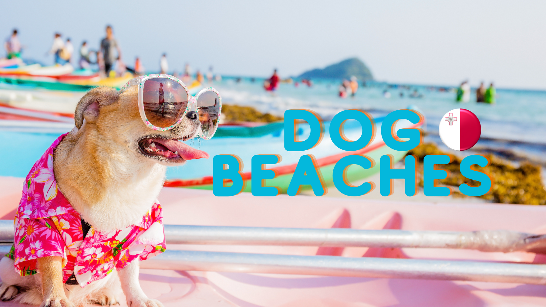 Dog Friendly Beaches in Malta & Gozo