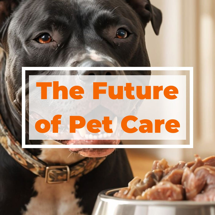 Why Customized Feeding is the Future of Pet Care