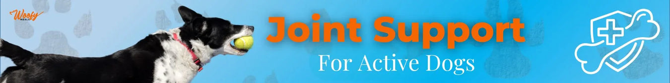Joint Support for Active Dogs
