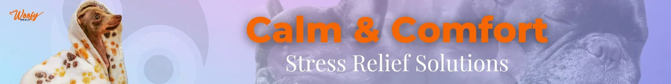 Calm & Comfort: Stress Relief Solutions