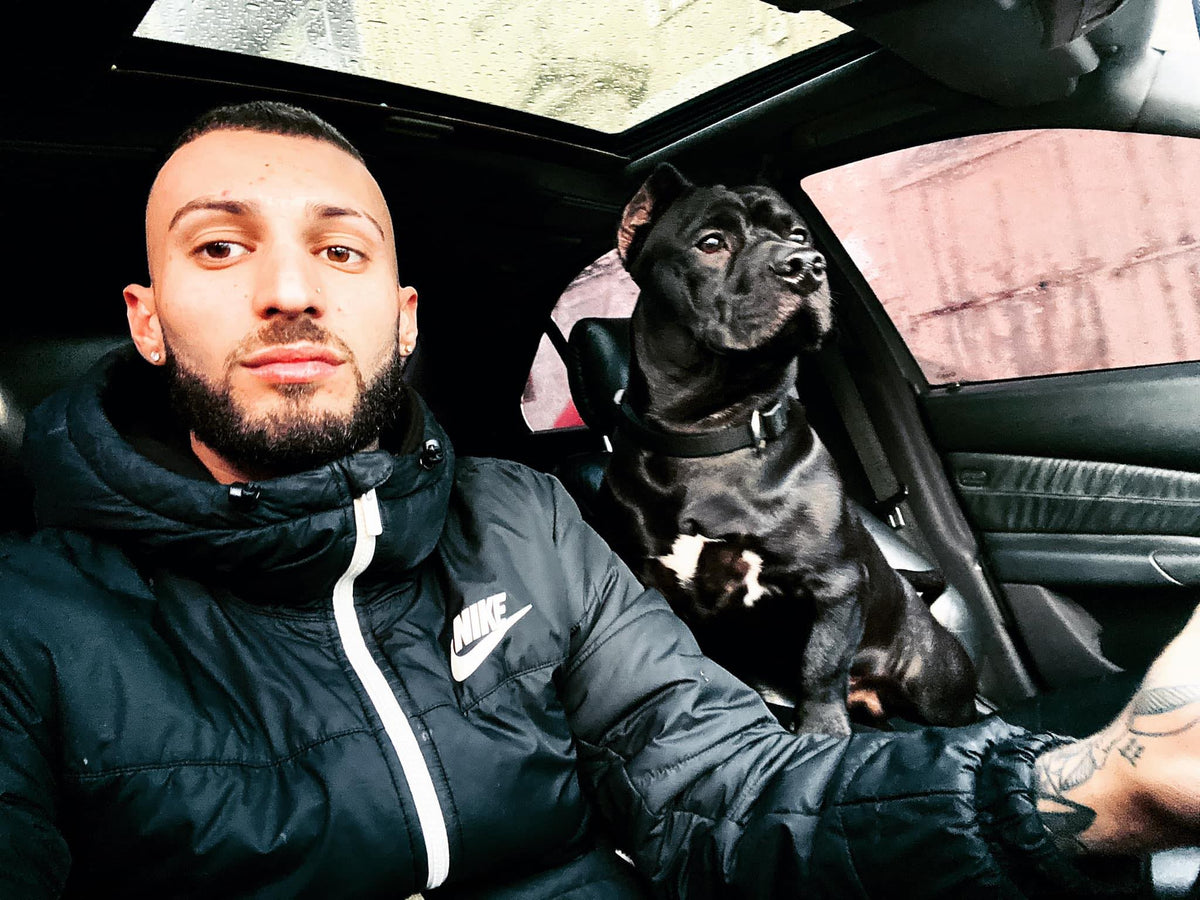 Woofy Meals │Dog Food Delivery Malta │24/7 Shop & Subscriptions