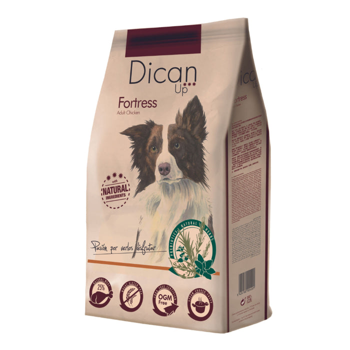 Dibaq - DicanUp Selection