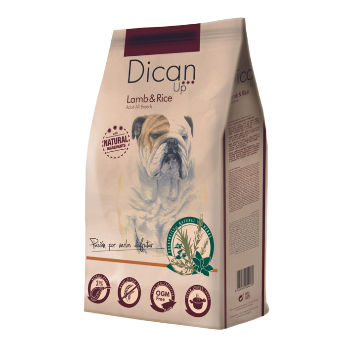 Dibaq - DicanUp Selection