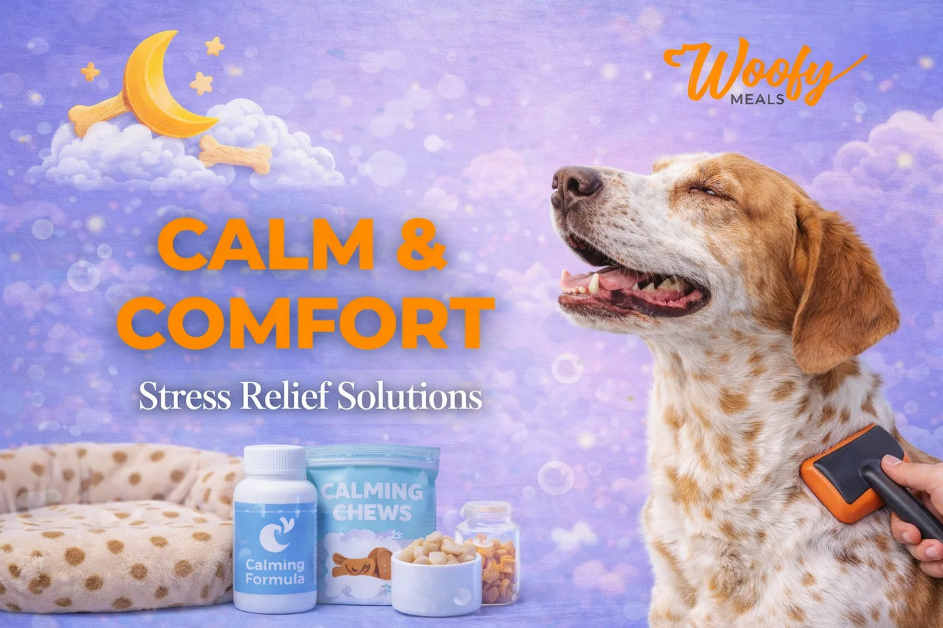 Calm & Comfort: Stress Relief Solutions