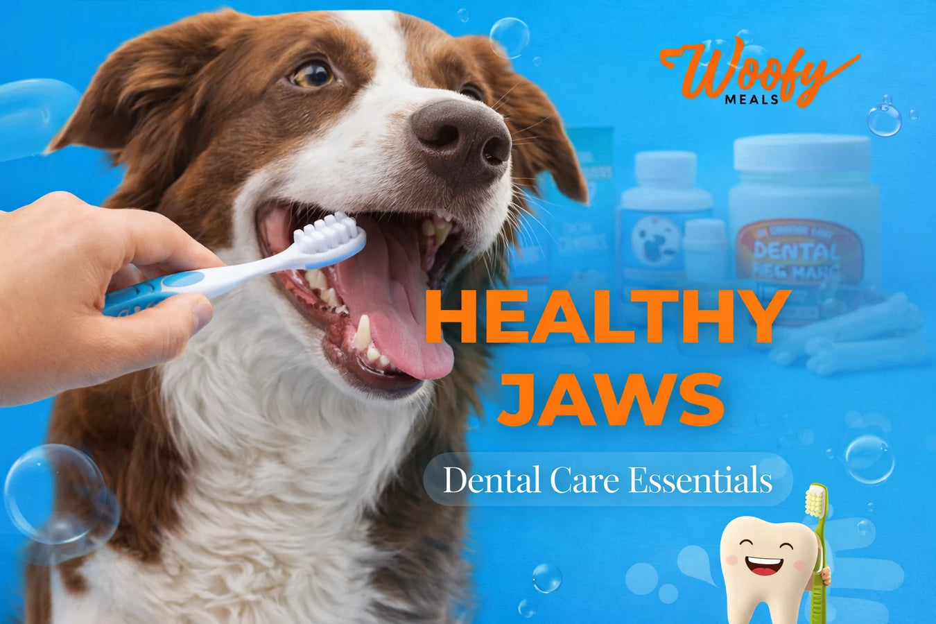 Healthy Jaws: Dental Care Essentials