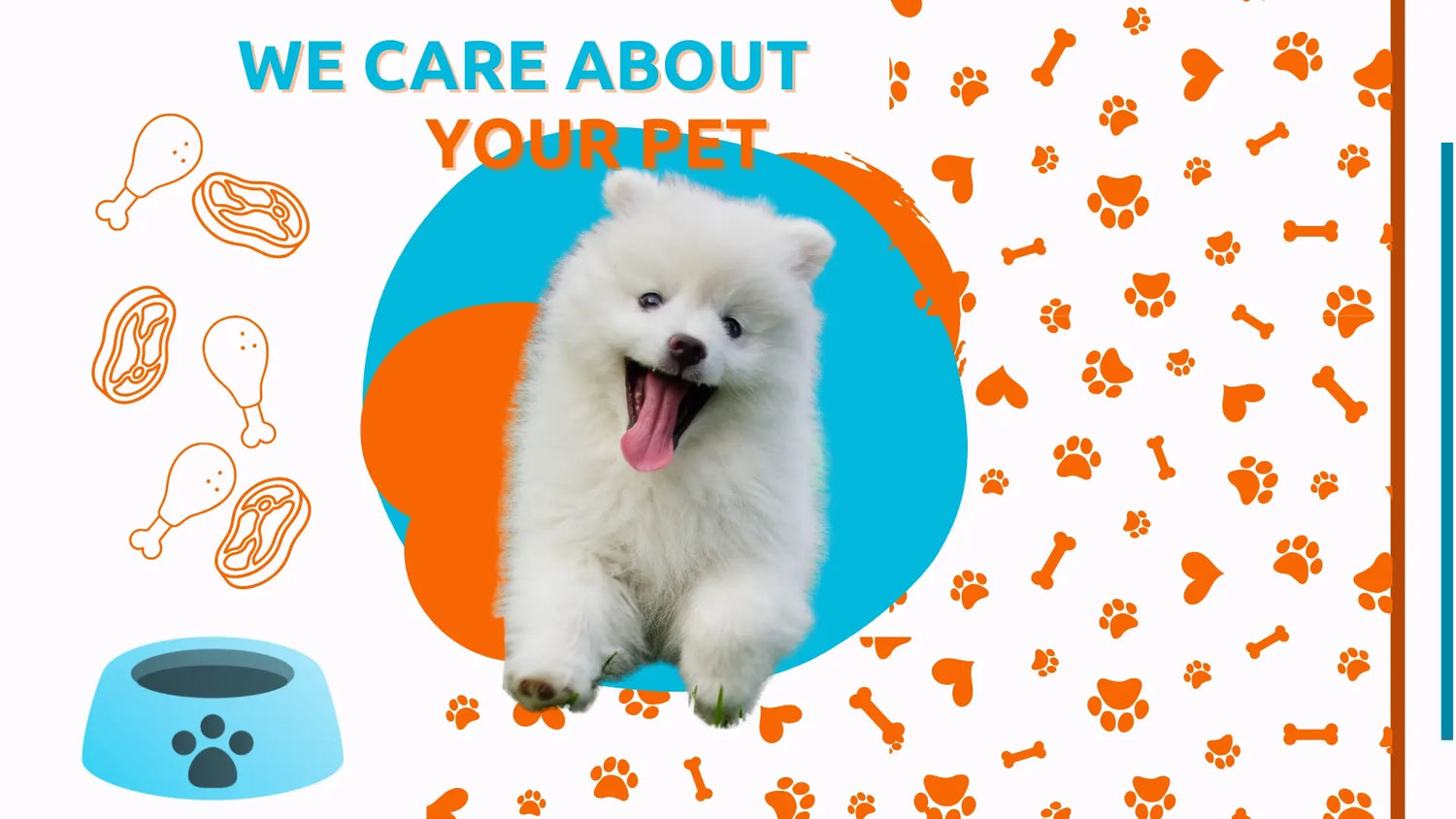 PERSONALIZED MEALS, MADE FOR YOUR DOG