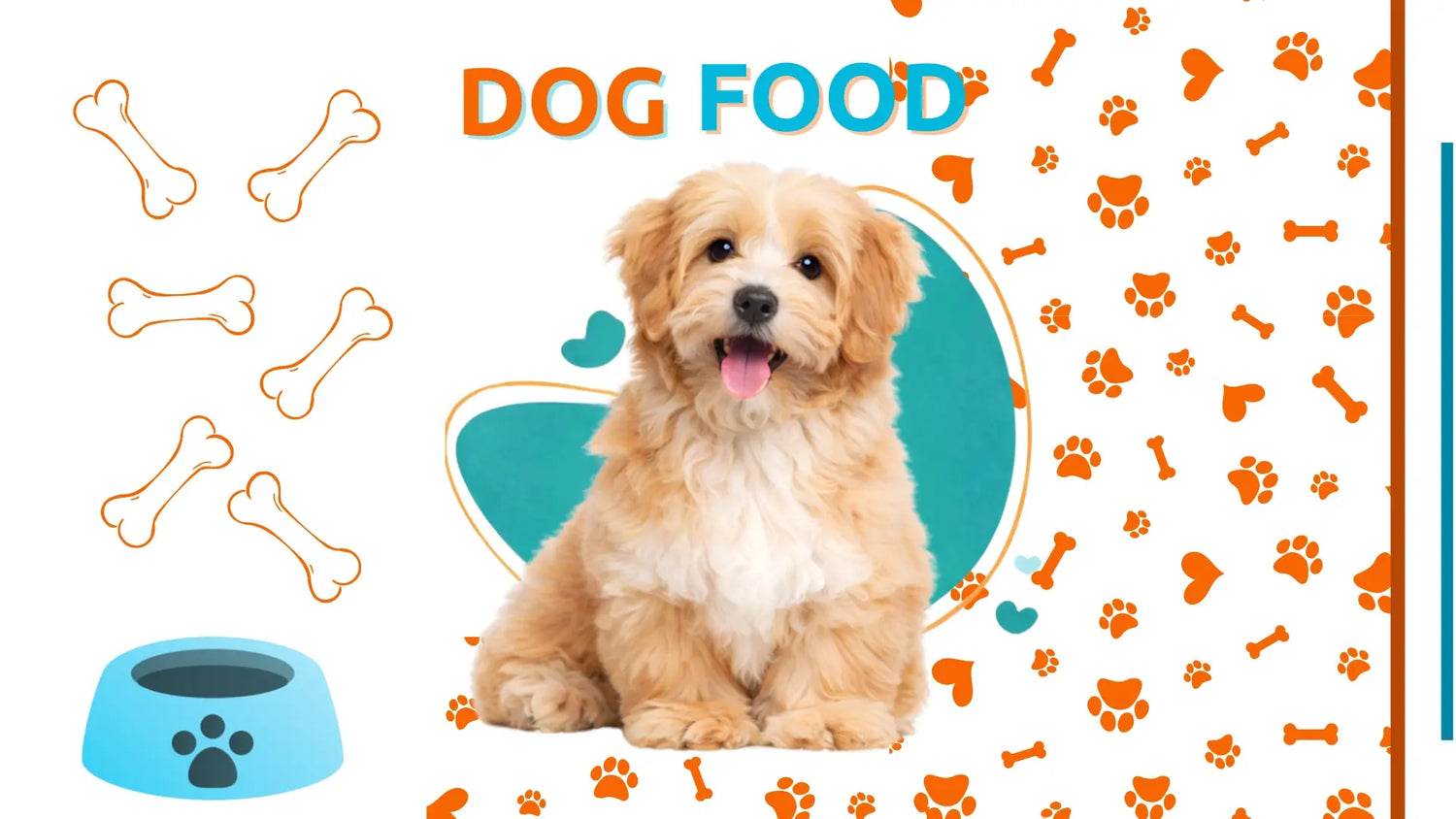 PREMIUM NUTRITION MADE WITH CARE