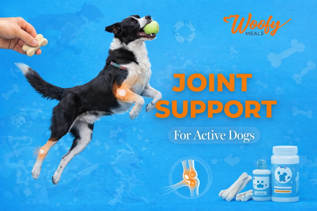 Joint Support for Active Dogs