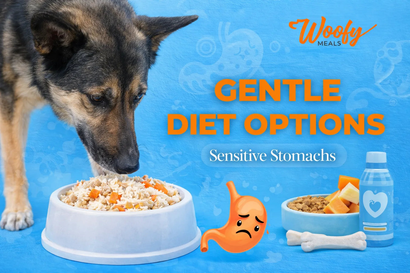 Sensitive Stomachs: Gentle Diet Options