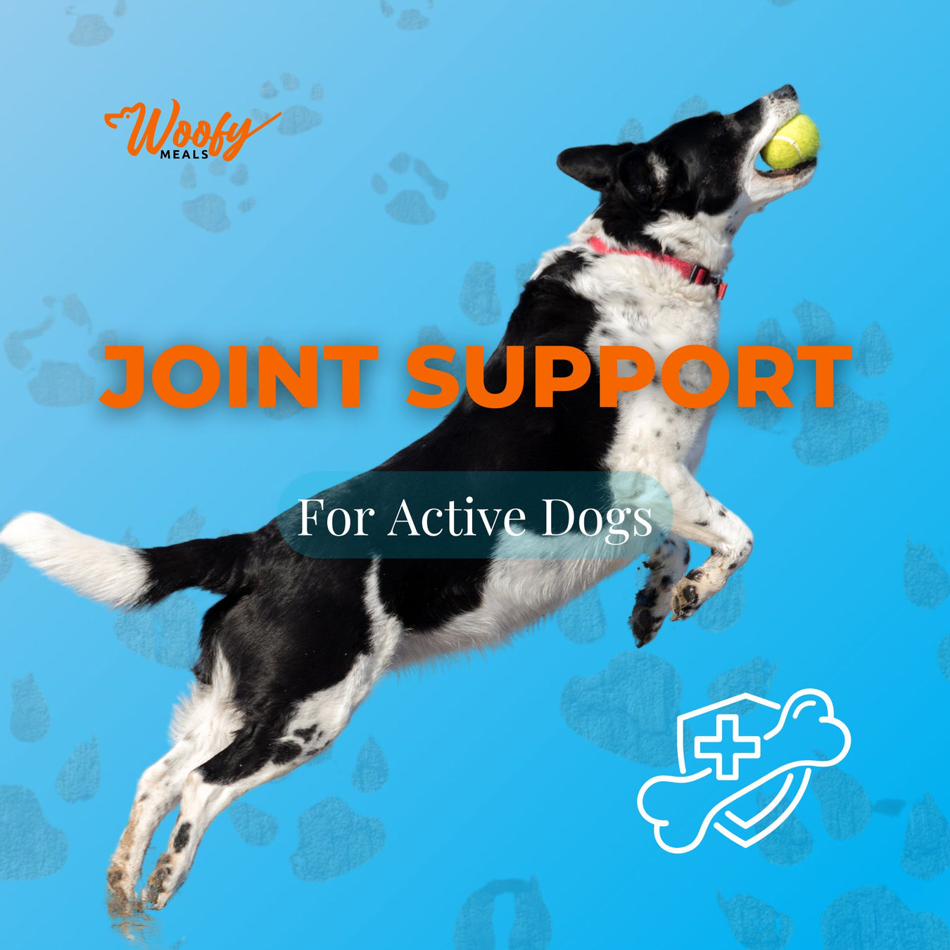 Joint Support for Active Dogs