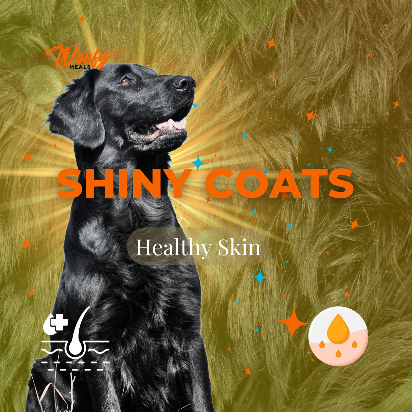 Shiny Coats & Healthy Skin