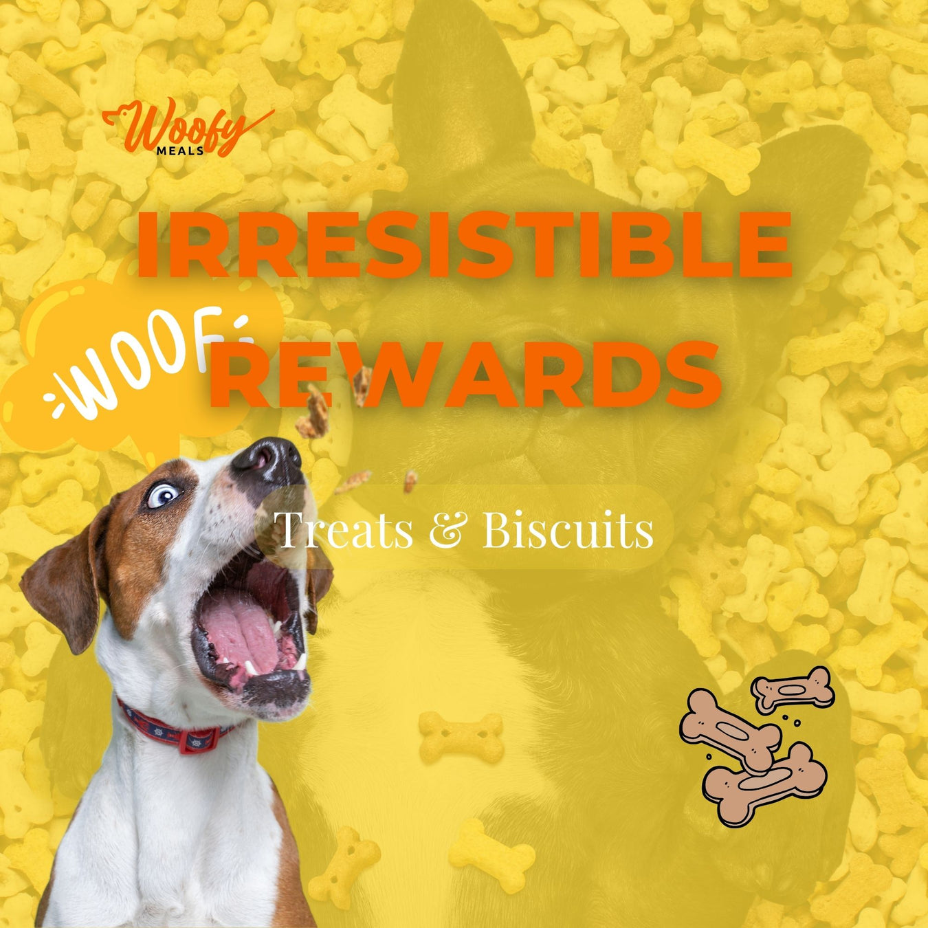 Irresistible Rewards: Treats & Biscuits