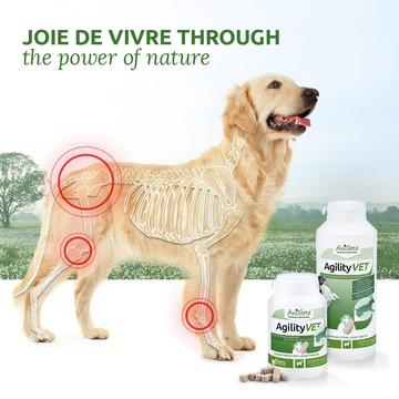 Aniforte -  AgilityVet Joint Care Tablets for Dogs