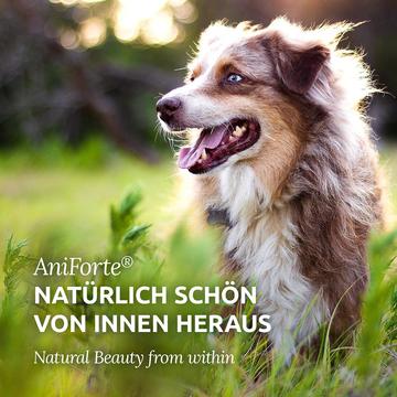 Aniforte - Fur Harmony Vital Powder - Natural Skin & Coat Supplement
