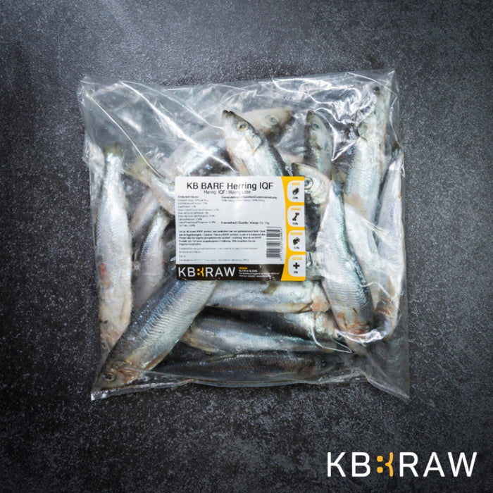 KB RAW - BARF SELECTION