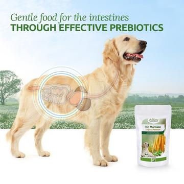 Aniforte - Organic Morosan for Dogs - Prebiotic Dietary Supplement