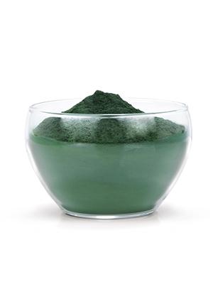 Aniforte - Organic Spirulina Platensis Algae Powder