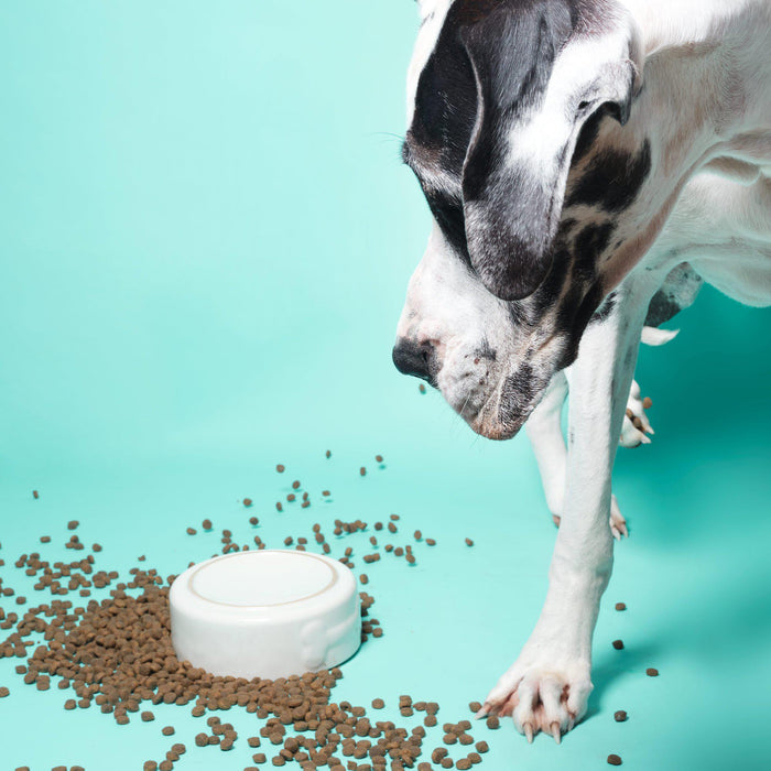 POOCH & MUTT - FUNCTIONAL DRY FOOD FOR DOGS SELECTION